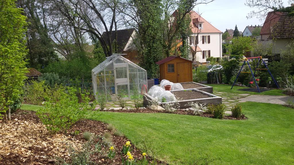 Gite Des Merles Мителвир Екстериор снимка
