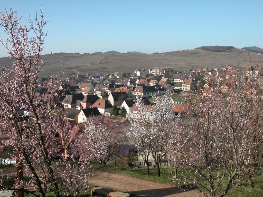 Gite Des Merles Мителвир Екстериор снимка